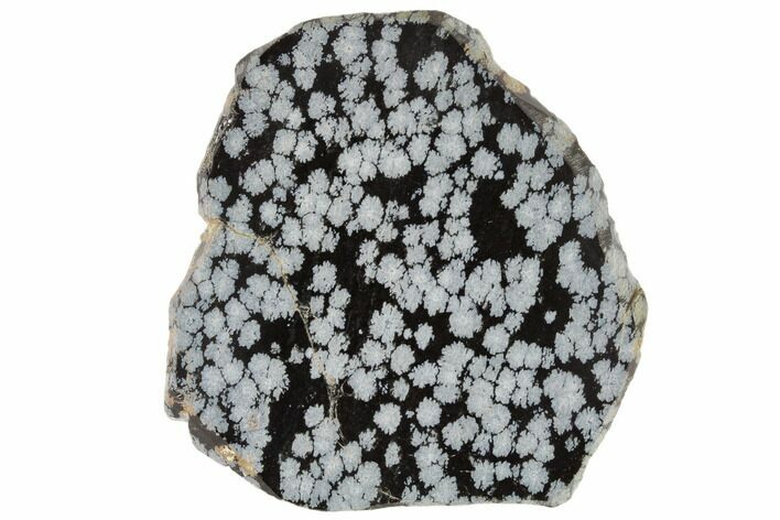 Polished Snowflake Obsidian Section - Utah #114198